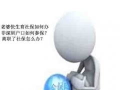 深圳专业企业人事外包 解构社保代买与人力资源服务外包的核心优势